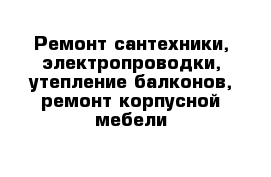 Ремонт сантехники, электропроводки, утепление балконов, ремонт корпусной мебели 